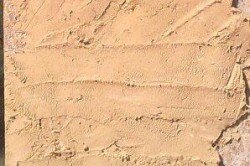 Высохший песчано-глиняный раствор, нанесенный на стену